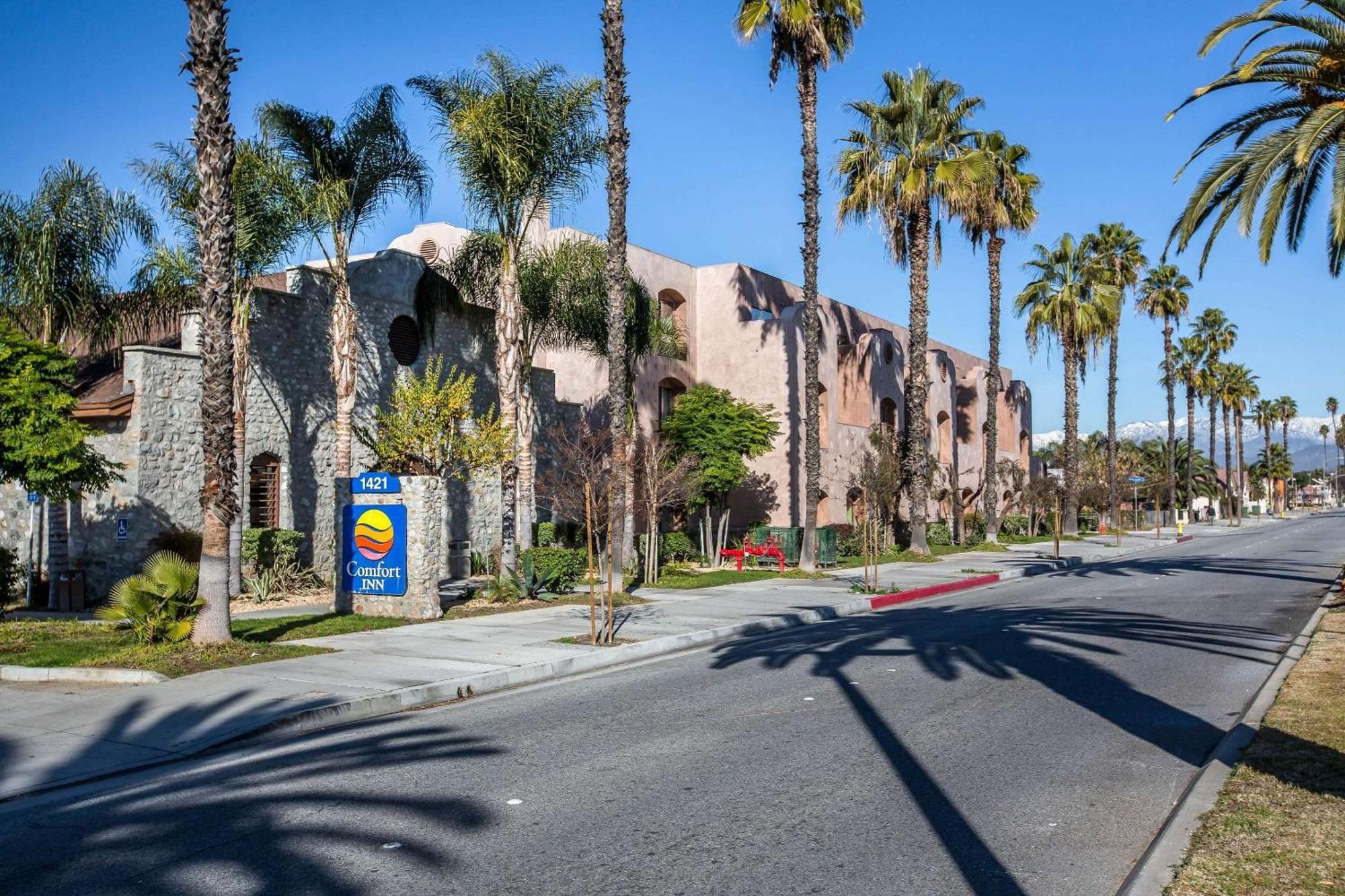 Comfort Inn Pomona Near Fairplex Exterior foto